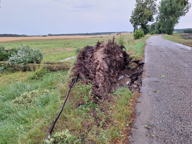 Blisko 400 interwencji strażaków w regionie. Silny wiatr połamał gałęzie i uszkodził dachy