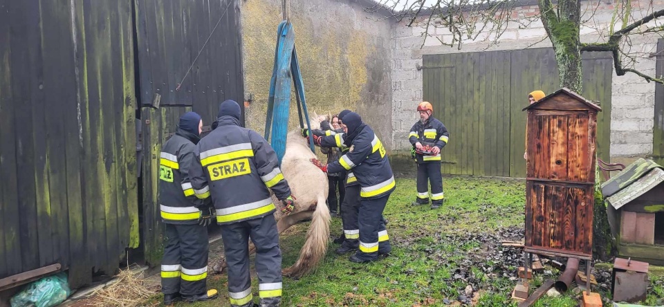 – Akcja udała się dzięki pomocy naszego druha Rafał Kempiński, który podniósł konia za pomocą HDS-a – przekazują strażacy na swojej stronie na Facebooku/fot. OSP KSRG Pruszcz, Facebook