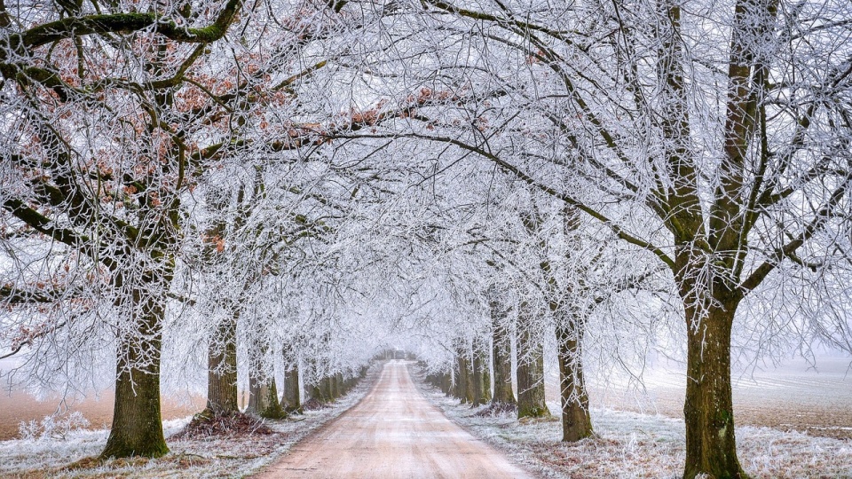 Ostrzeżenie Instytutu Meteorologii i Gospodarki Wodnej obowiązuje od 21.00 w niedzielę do godz. 8.00 we wtorek/fot. ilustracyjna, Pixabay