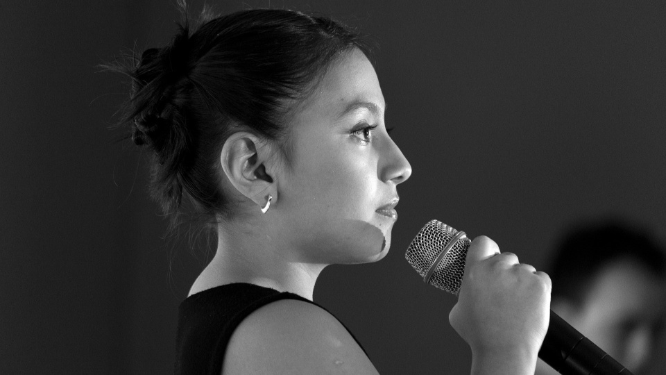 AKA-demo ma być doskonałą okazją do debiutu na scenie dla utalentowanych studentów Akademii Muzycznej/fot: zdjęcie ilustracyjne, Pixabay