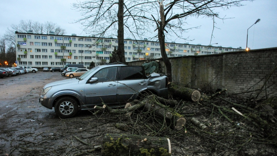 Drzewo powalone przez wiatr na samochód w Koszalinie/fot. Marcin Bielecki, PAP