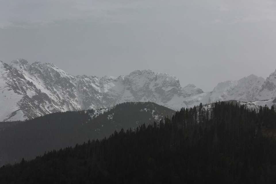 Widok na Tatry w Zakopanem/fot. Grzegorz Momot, PAP