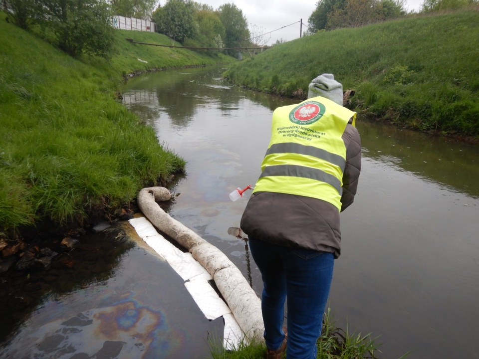 Służby ochrony środowiska badają skład chemiczny zanieczyszczeń i ustalają, jak dostały się do wód Zuzanki/fot. wios.bydgoszcz.pl