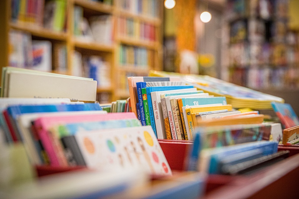 – Mamy ok. 40 tys. książek. Najwięcej jest powieści i książek dla dzieci – to jest baza – opowiada księgarz/fot. ilustracyjna, Pixabay