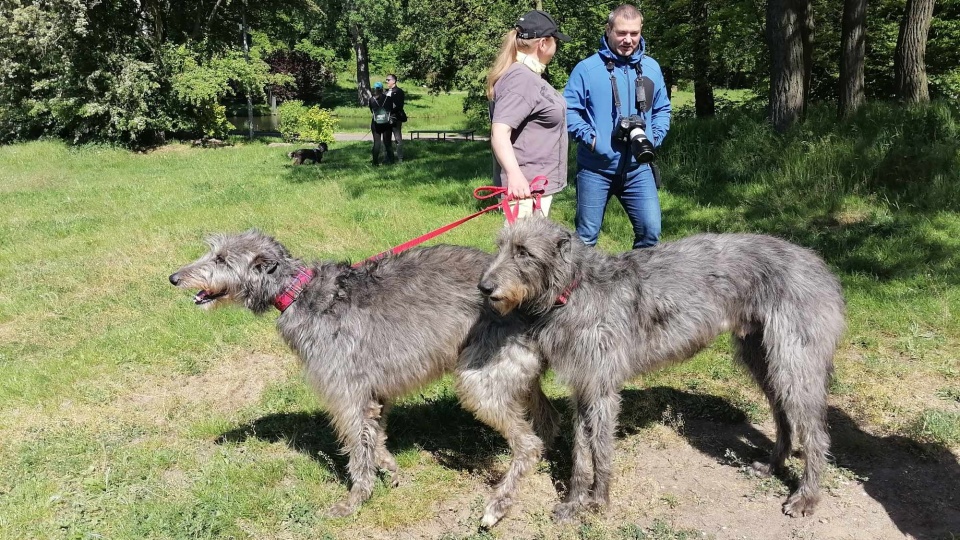 CHARTytatywny spacer w bydgoskim Myślęcinku/fot. Monika Siwak