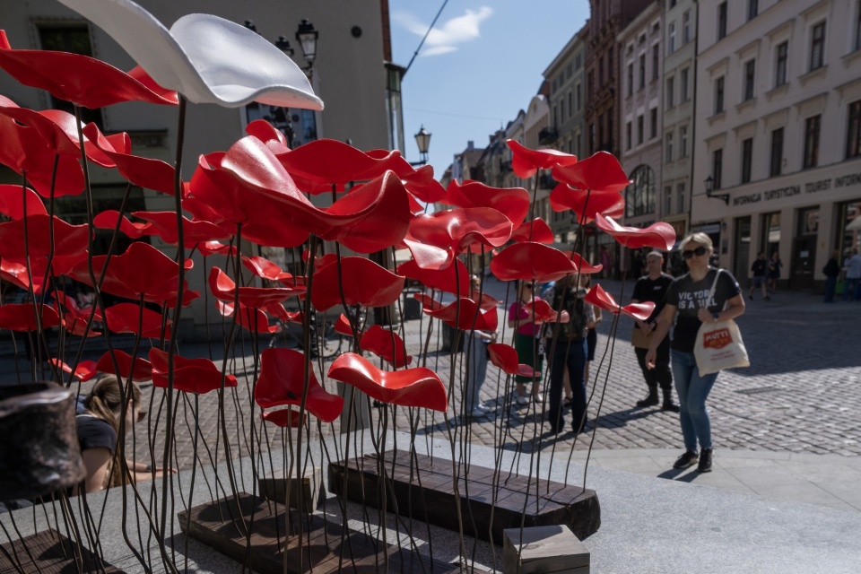 Ceramiczne maki, wykonane przez Alicję Bogacką zostały postawione pod pomnikiem Mikołaja Kopernika/fot: Facebook, Mój Toruń