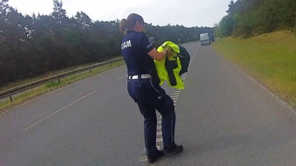 Policjanci uratowali myszołowa/fot. materiały policji
