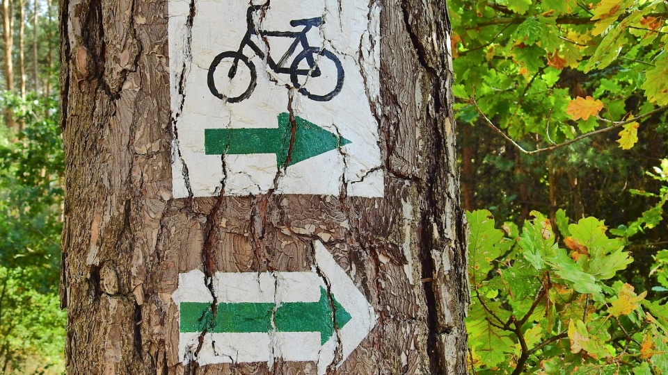 Bory Tucholskie zapraszają na wypoczynek podczas długiego weekendu. Na chętnych czeka m.in. ponad 200 kilometrów szlaków pieszo-rowerowych, czy spływy kajakowe/fot: zdjecie ilustracyjne, Pixabay