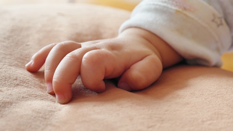 W liście biskupi wskazują, że prawa do życia „to elementarna zasada wpisana w naturę człowieka, której nie wolno naruszać”/fot. ilustracyjna, Pixabay