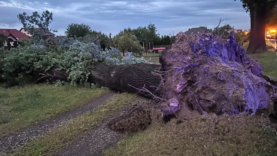 Szczególnie ciężkie chwile przeżyli mieszkańcy gminy Dobrcz, gdzie wiatr powalał drzewa i uszkadzał dachy domostw/fot. OSP Dobrcz