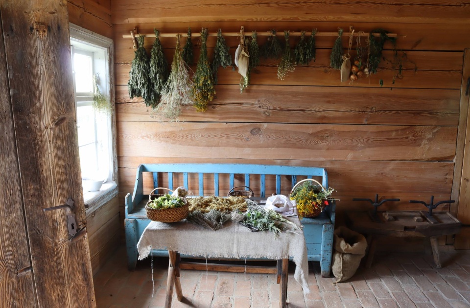 Na znajomość ziół nigdy nie jest za późno. Podczas wakacji uczestnicy warsztatów w Wielkiej Nieszawce mogą się przekonać, jak silna i zdrowotna potrafi być natura/fot: Facebook, Olenderski Park Etnograficzny w Wielkiej Nieszawce