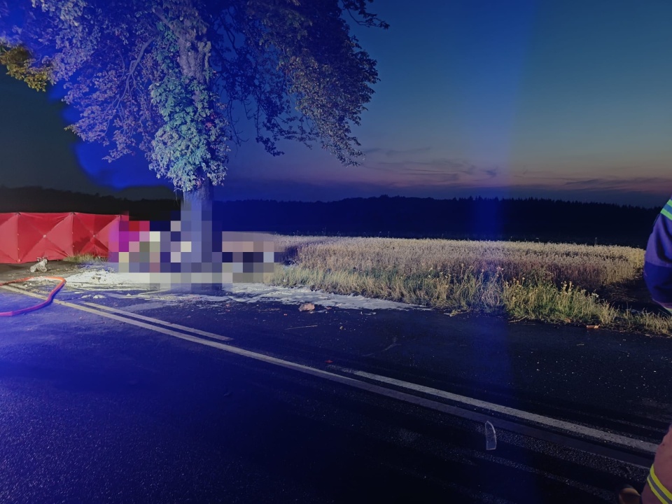 Samochód osobowy uderzył w drzewo i stanął w płomieniach/fot. OSP Unisław