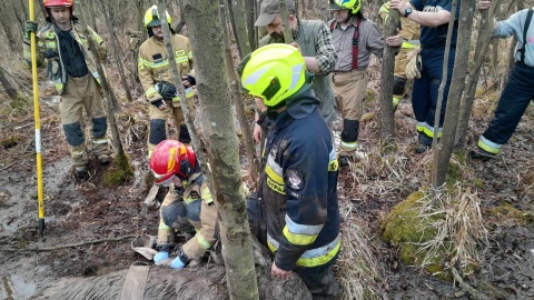 W pobliżu wioski Goreń młody łoś utknął w bagnie. Ratowników wezwał na pomoc miejscowy rolnik/fot. OSP GOREŃ DUŻY/Facebook