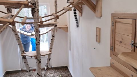 Lemury Lori i Lotka/fot. Magdalena Gill