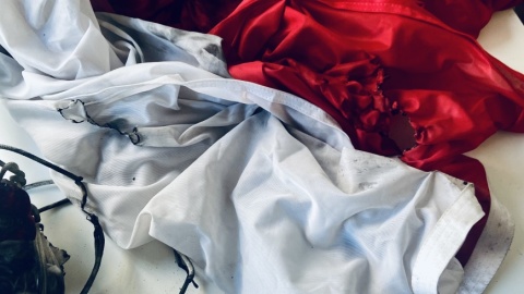 Na terenie Westerplatte znieważono symbole państwowe. Zerwano 11 polskich flag, należących do Muzeum II Wojny Światowej. Część z nich została spalona/fot. muzeum1939.pl