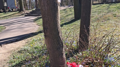 Na terenie Westerplatte znieważono symbole państwowe. Zerwano 11 polskich flag, należących do Muzeum II Wojny Światowej. Część z nich została spalona/fot. muzeum1939.pl