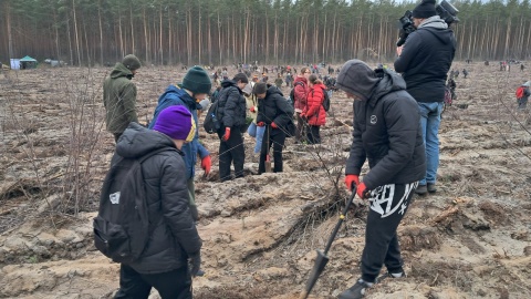 Ponad 260 osób społecznie sadzi las w leśnictwie Leszyce pod Solcem Kujawskim/fot. Damian Klich