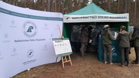Ponad 260 osób społecznie sadzi las w leśnictwie Leszyce pod Solcem Kujawskim/fot. Damian Klich
