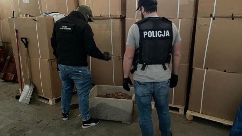 Ponad 13 ton liści tytoniu oraz krajanki tytoniowej bez polskich znaków akcyzy zabezpieczyli w powiecie ciechanowskim bydgoscy policjanci wspólnie z funkcjonariuszami z Kujawsko-Pomorskiego Urzędu Celno-Skarbowego w Toruniu/fot. Policja
