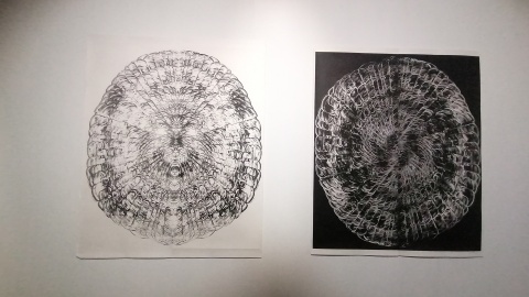 "Materializacje sensu" w Galerii Wozownia. / Fot. Iwona Muszytowska-Rzeszotek