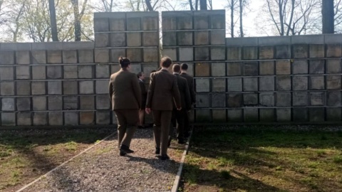 W Inowrocławiu, przed tamtejszym Lapidarium zbudowanym z żydowskich płyt nagrobnych, które Niemcy, w czasie II wojny światowej wykorzystywali do budowy chodników, odbywa się akcja „Żonkile"/fot. Marcin Glapiak
