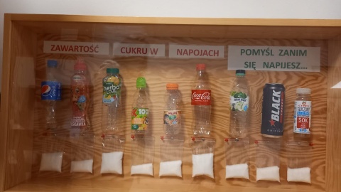 Konkurs „Bydgoszcz zdrowa, wolna od nałogów”/fot. Agata Raczek
