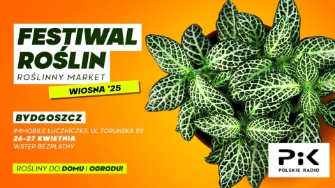 W najbliższy weekend w Bydgoszczy będzie można doświadczyć magicznego świata roślin. / Fot. Materiały organizatorów