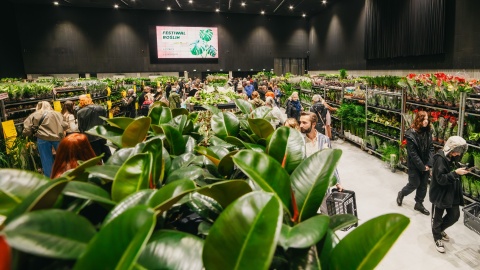 W najbliższy weekend w Bydgoszczy będzie można doświadczyć magicznego świata roślin. / Fot. Materiały organizatorów