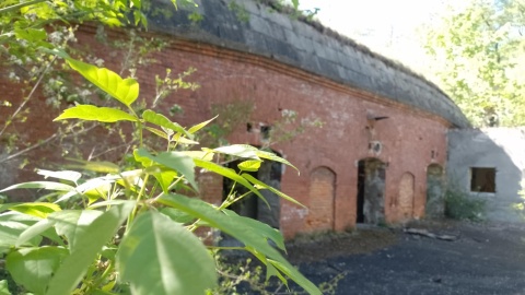 Potrzebne są zmiany w podejściu miasta do toruńskich fortyfikacji - uważają społecznicy. W zeszłym tygodniu radni zgodzili się na sprzedaż działki, na której stoi dziewiętnastowieczny schron. Obiekt lata świetności ma już dawno za sobą. Pada pytanie, czy nowy właściciel będzie dbał o obiekt/fot. Michał Zaręba