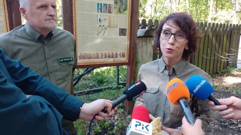 O roli zapylaczy mówiono także w Regionalnej Dyrekcji Lasów Państwowych w Toruniu/fot. Michał Zaręba