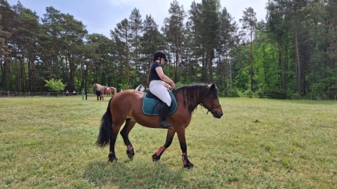 W Gródku w powiecie świeckim zorganizowano Skokowy Dzień Dziecka/fot. Marcin Doliński
