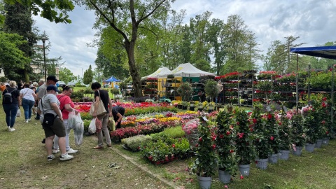 Targi Rolno-Budowlane w Zarzeczewie/fot. Kujawsko-Pomorski Oddział Regionalny ARIMR, Facebook