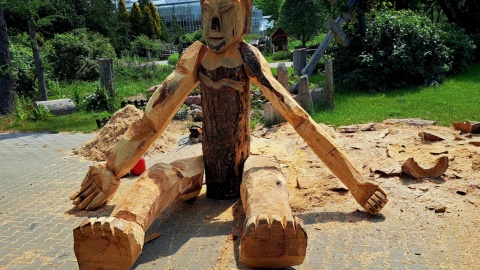Ogród Botaniczny IHAR w bydgoskim Myślęcinku. / Fot. Nadesłane