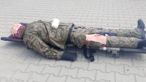 „Edukacja z wojskiem” w Bydgoszczy/fot. Wiktor Sobociński