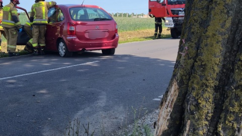 Auto uderzyło w drzewo w Kończewicach/fot. Piotr Lisewski, KM PSP Toruń, Facebook