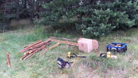 Zanim archeolodzy zaczną prace trzeba przygotować miejsce badań. W tym pomagali leśnicy oraz uczniowie z gminy Dąbrowa Chełmińska. Mierzyli, kopali, wbijali pale/fot. Tatiana Adonis