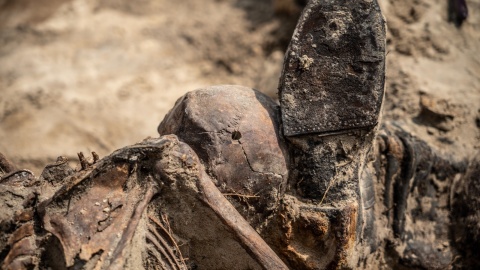 Wykopaliska archeologiczne w Borównie/fot. Instytut Pamięci Narodowej Oddział w Gdańsku/Facebook
