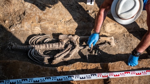 Wykopaliska archeologiczne w Borównie/fot. Instytut Pamięci Narodowej Oddział w Gdańsku/Facebook
