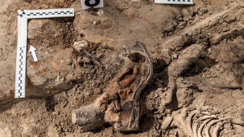 Wykopaliska archeologiczne w Borównie/fot. Instytut Pamięci Narodowej Oddział w Gdańsku/Facebook