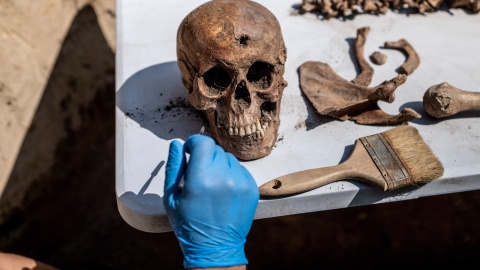 Wykopaliska archeologiczne w Borównie/fot. Instytut Pamięci Narodowej Oddział w Gdańsku/Facebook