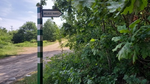 Zakończone kilka dni temu prace badawcze prowadzone były przez Oddziałową Komisję Ścigania Zbrodni przeciwko Narodowi Polskiemu w Gdańsku/fot. Tatiana Adonis