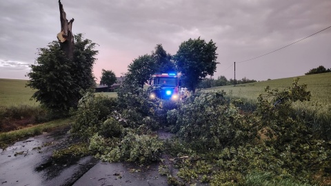 Region po przejściu burzy/fot. Komenda Miejska Państwowej Straży Pożarnej w Grudziądzu/Facebook