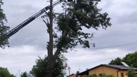 Region po przejściu burzy/fot. OSP Dobrcz/Facebook