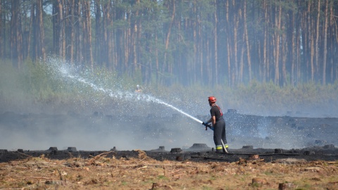 Tak wyglądała akcja gaśnicza w okolicach Czernikowa i Bobrownik. / Fot. Nadlesnictwo Dobrzejewice