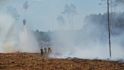 Tak wyglądała akcja gaśnicza w okolicach Czernikowa i Bobrownik. / Fot. Nadlesnictwo Dobrzejewice