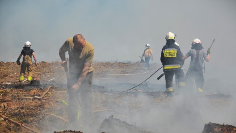 Tak wyglądała akcja gaśnicza w okolicach Czernikowa i Bobrownik. / Fot. Nadlesnictwo Dobrzejewice