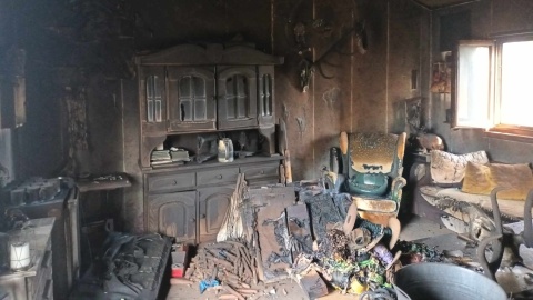 W Alpakarnii na wyspie Ostrówek zamknięto zwierzęta, po czym podpalono stodołę. Łącznie zginęło 10 alpak i lama/fot: Archiwum / Marcin Glapiak