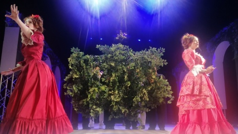 „Księżniczka na opak wywrócona” w Teatrze im. Horzycy w Toruniu/fot. Iwona Muszytowska-Rzeszotek