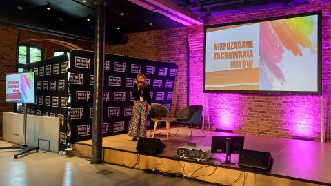 Koci Fest w Bydgoszczy trwa do niedzieli (13 lipca)/fot: Tatiana Adonis
