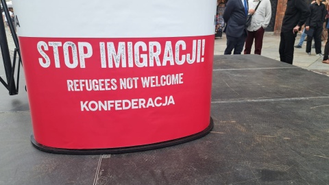 Manifestacje w Toruniu/fot. Robert Duliński